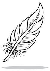 Fototapeta premium Single Black and White Feather Illustration Delicate Detail Contour Drawing