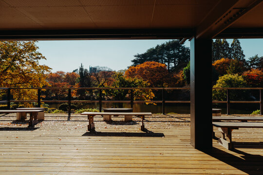 公園のウッドデッキとベンチ　秋の景色