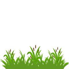 Fototapeta premium Green Grass Border Illustration