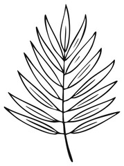 Fototapeta premium Minimalist hand drawn outline of a tropical palm leaf, for a design element or decoration
