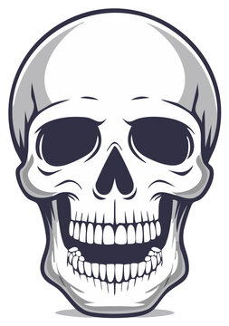 Detailed Skull Illustration: Grim, White, Bone Anatomy with Open Mouth