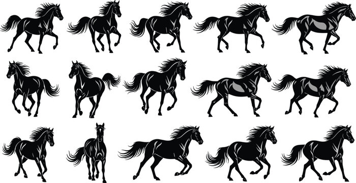 Galloping Stallion Horse Silhouette Set Featuring Various Running and Standing Poses for Equestrian Sports Branding and Western Style Graphic Designs