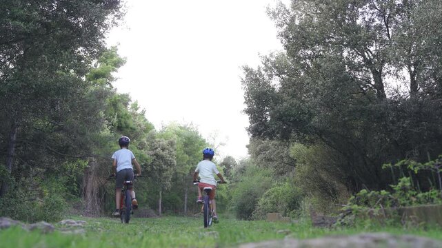 Two boys riding bicycles away through a forest path