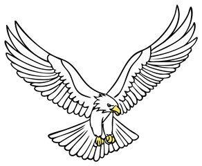 Obraz premium Eagle Flying Wing Spread Graphic Illustration Bald Eagle Bird Predatory Bird Talons Line Art