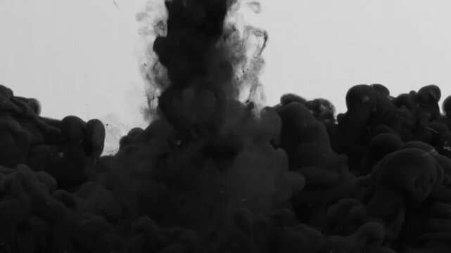 Color burst - black smoke powder circle particle explosion with shockwave. Particles in slow motion. Fluid ink alpha matte isolated 