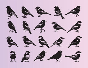 Fototapeta premium Cute collection of black and white songbirds in various poses and angles illustration