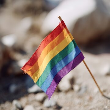 single small Pride flag on a plain stick, flag fabric softly waving, bright natural daylight, shallow depth of field, clean blurred background
