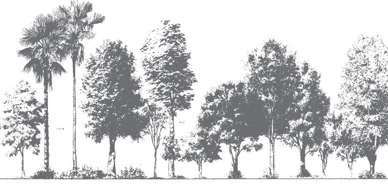 Watercolor style tree silhouettes in monochrome design Hand drawn tree collection with leafless branches