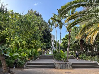 Fototapeta premium Tenerife