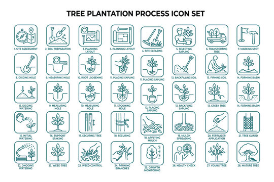 Tree plantation process icon set featuring step by step reforestation and gardening vector design.