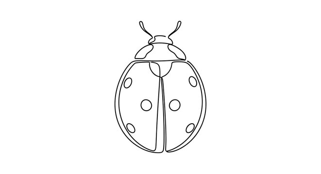 Minimalist Continuous Line Art Drawing of a Ladybug Beetle