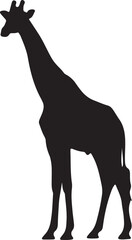Obraz premium Standing giraffe silhouette vector illustration isolated on white background profile view