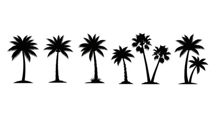 Obraz premium Set of Black Palm Tree Silhouettes Isolated on White Background, Tropical Flora Collection