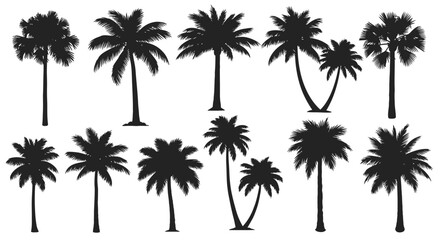 Fototapeta premium Silhouette Palm Trees Collection - Tropical Exotic Flora Vector Graphics