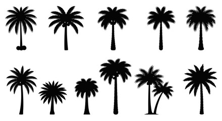 Obraz premium Collection of Black Palm Tree Silhouettes Isolated on White Background