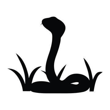 Black silhouette of a cobra snake rising out of the grass, isolated on white