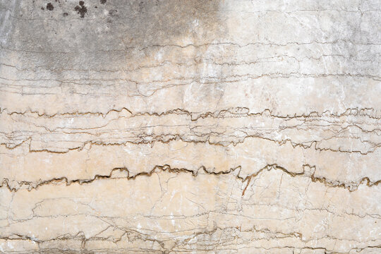 A full frame shot of a limestone rock surface featuring wavy horizontal layers of fossilized stromatolite structures with natural beige and grey tones