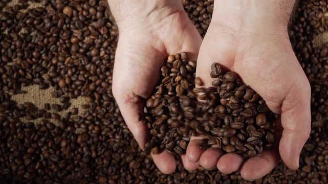 Slow motion of falling coffee beans from male hands on dark background. close-up. top view
