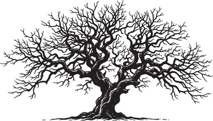 Fototapeta premium Bare, twisted tree trunk with sprawling branches, line style also transparent background, leafless