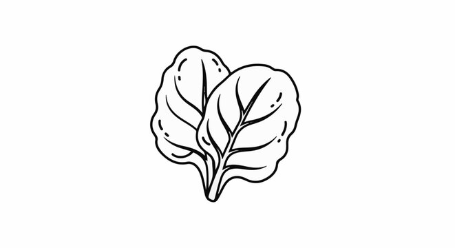 Simple line art illustration of two spinach leaves on a white background