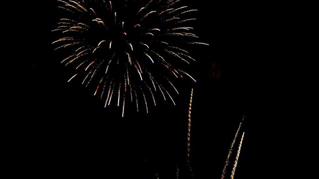 Spectacular multi-colored fireworks display bursting in the night sky with vibrant red, white, and blue explosions for a celebratory background.
