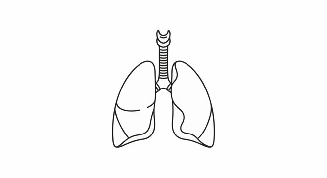 Simple line drawing of human lungs and trachea on a white background