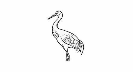Fototapeta premium Black and white line drawing of a standing crane with intricate feather detail
