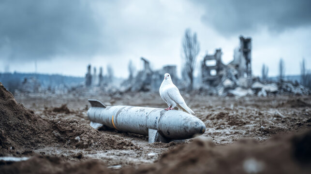 White dove perching on missile, representing peace, hope and survival amidst devastation and post conflict landscape
