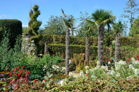 Terra Botanica