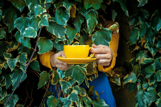 Hands holding yellow cup while hiding behind green ivy
