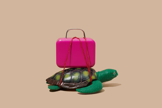 Toy turtle carrying a pink suitcase tied with red string