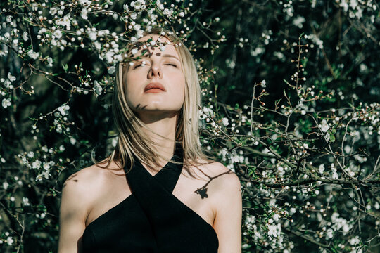 Stylish portrait of a woman relaxing under a spring time blossom tree