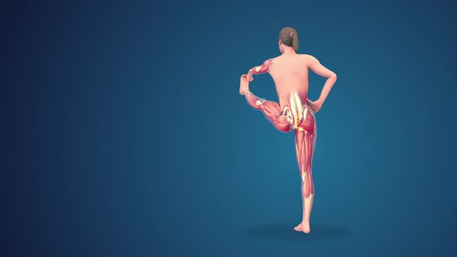 3D human utthita hasta padangusthasana yoga pose on blue background