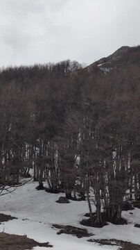 Dettaglio ravvicinato di una superficie rocciosa in ambiente montano, con contrasto tra texture naturali e luce diffusa. Una scena minimalista che richiama atmosfere alpine e paesaggi d&rsquo;alta quota