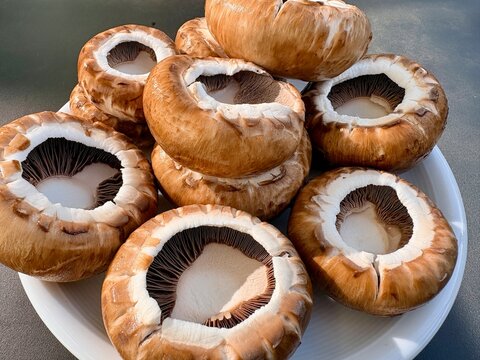 rische Champignons Nahaufnahme &ndash; Struktur und Textur von Speisepilzen