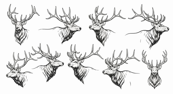 Collection of regal elk heads with impressive antlers, drawn in monochrome