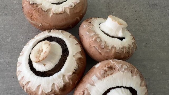 Champignons Detailaufnahme &ndash; Nat&uuml;rliche Farben und feine Pilzstrukturen