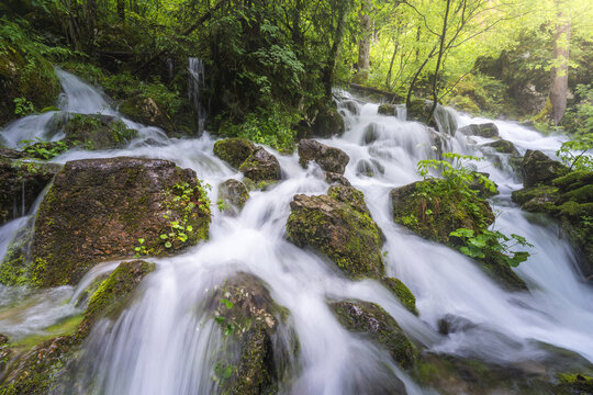 View of white water cascades over dark, mossy rocks, flowing through a green forest bathed in sunlight, Stahovica, Kamnik, Slovenia.
