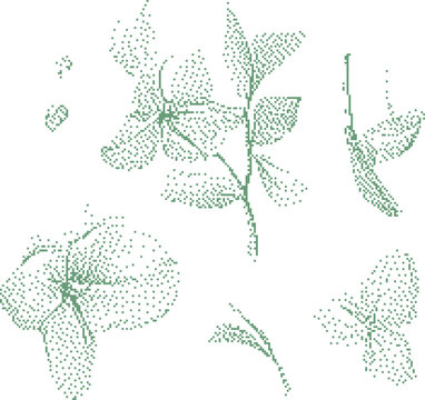 Delicate green soybean leaves and pods in a minimalist dotted illustration style