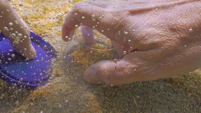 POV view: Hydrobiologist's hands taking samples from sandy seabed covered with unicellular algae colony with gas microbubbles. Benthic sampling, thin golden-brown biofilm with small gas bubbles 