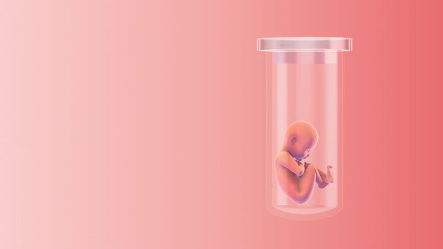 Vitro fertilization with the test tube baby