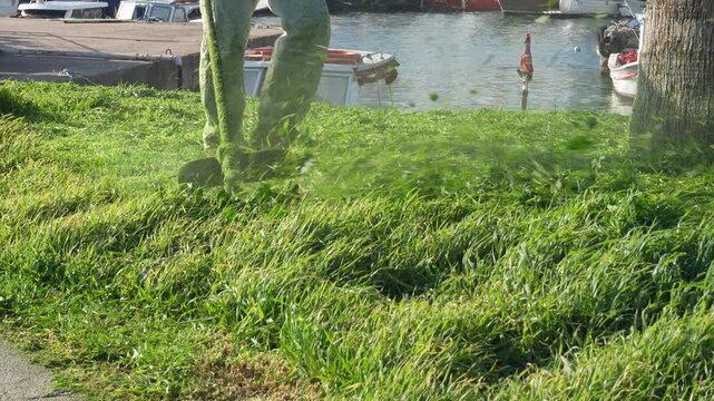 Professional Gardener Trimming Lush Green Grass with a String Trimmer - Commercial Lawn Care and Garden Maintenance - 4K. High quality 4k footage