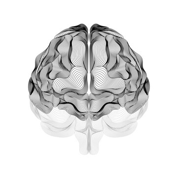 Monochrome abstract brain formed by flowing contour lines, symbolizing neural pathways, cognition, and modern scientific visualization on a white background