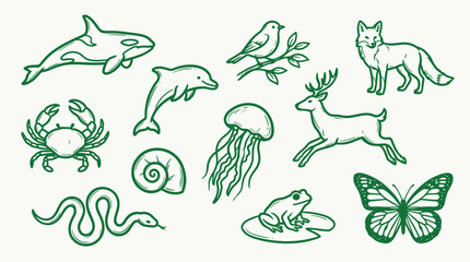 A collection of hand-drawn green line art illustrations of various animals, including marine life, birds, mammals, and insects, set against a plain background. © logan