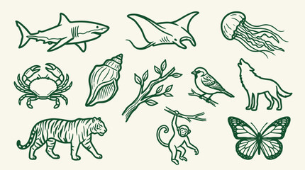 Fototapeta premium A collection of hand-drawn illustrations featuring various animals, plants, and natural elements in a whimsical, sketchy style.