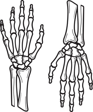 Black and white illustration of a human hand skeleton, showing the bones of the wrist, metacarpals, and phalanges, isolated on a white background for medical or educational use.