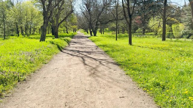 A long dirt path stretches into a lush green park filled with tall trees. The warm morning light and long shadows create a peaceful, inviting feeling. It is a beautiful day for a calm walk.
