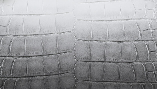 Luxury matte Himalayan crocodile leather texture with white to grey gradient