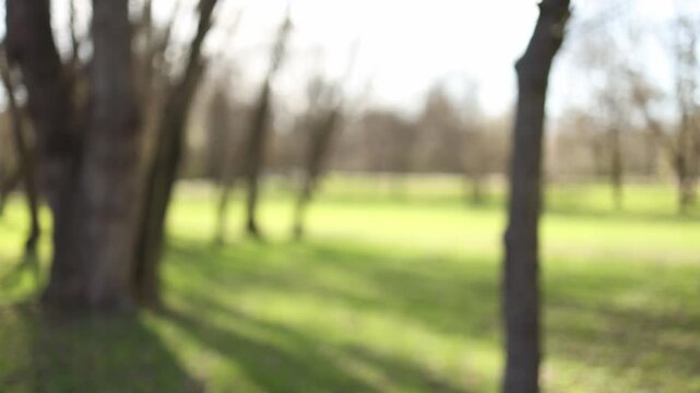 Woman enjoys fast food during walk in park feeling pleasure and relaxation showing simple everyday lifestyle moment balance between activity and comfort and casual eating habit