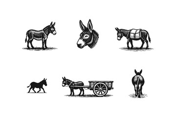 Vintage donkey illustrations in various poses and a cart © Tymofii